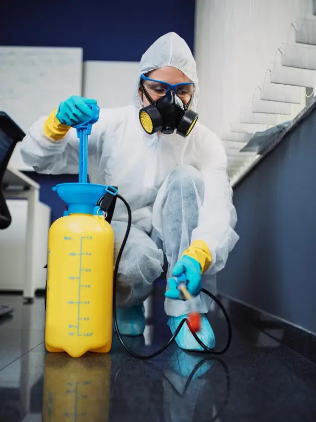 Pest Control Services